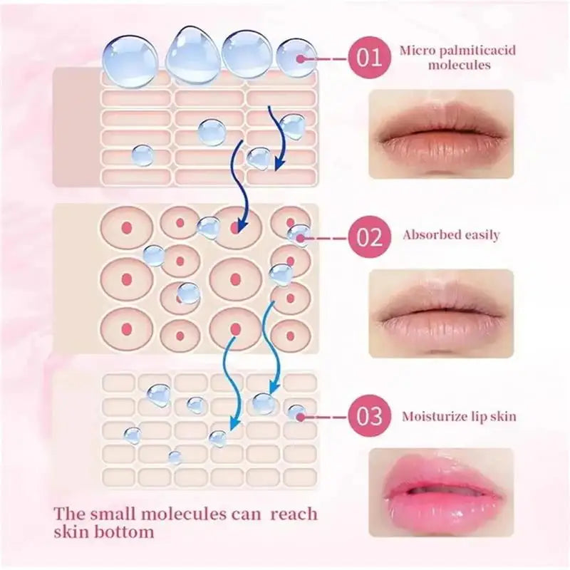 Hyaluronic Acid Collagen Sleep Lip Mask 20g Deep Hydration Lasting Moisturizing Exfoliation Day And Night Can Be Given As A Gift